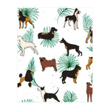 Miracles With Paws (Print Only) thumbnail