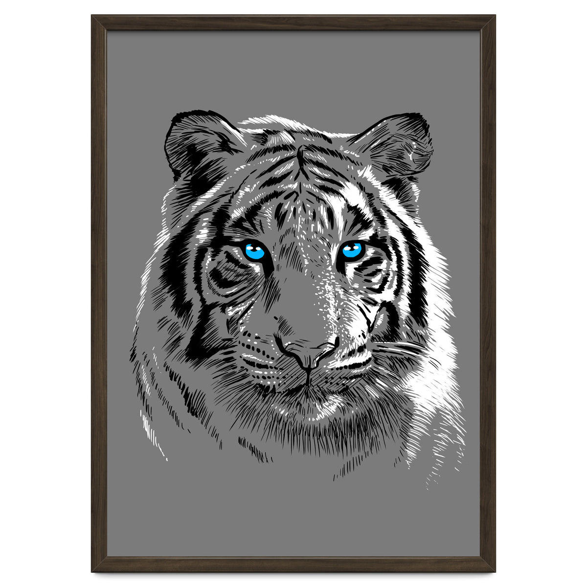 Sketch Tiger