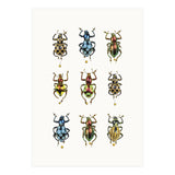 Cc Insects 05 (Print Only) thumbnail