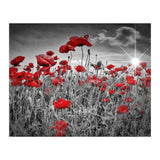 Idyllic Field of Poppies with Sun (Print Only) thumbnail