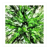 Splash (Print Only) thumbnail
