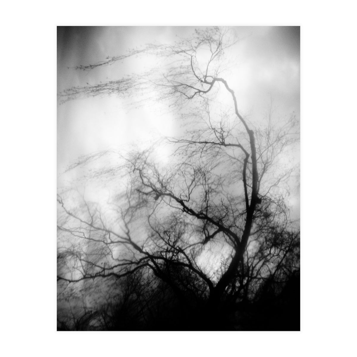 love wish (Print Only)