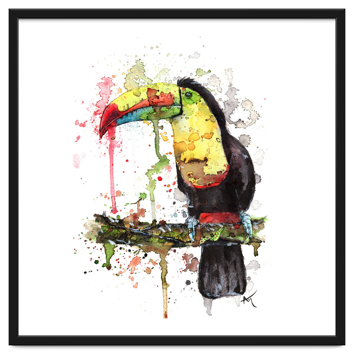 Toucan - Wildlife Collection