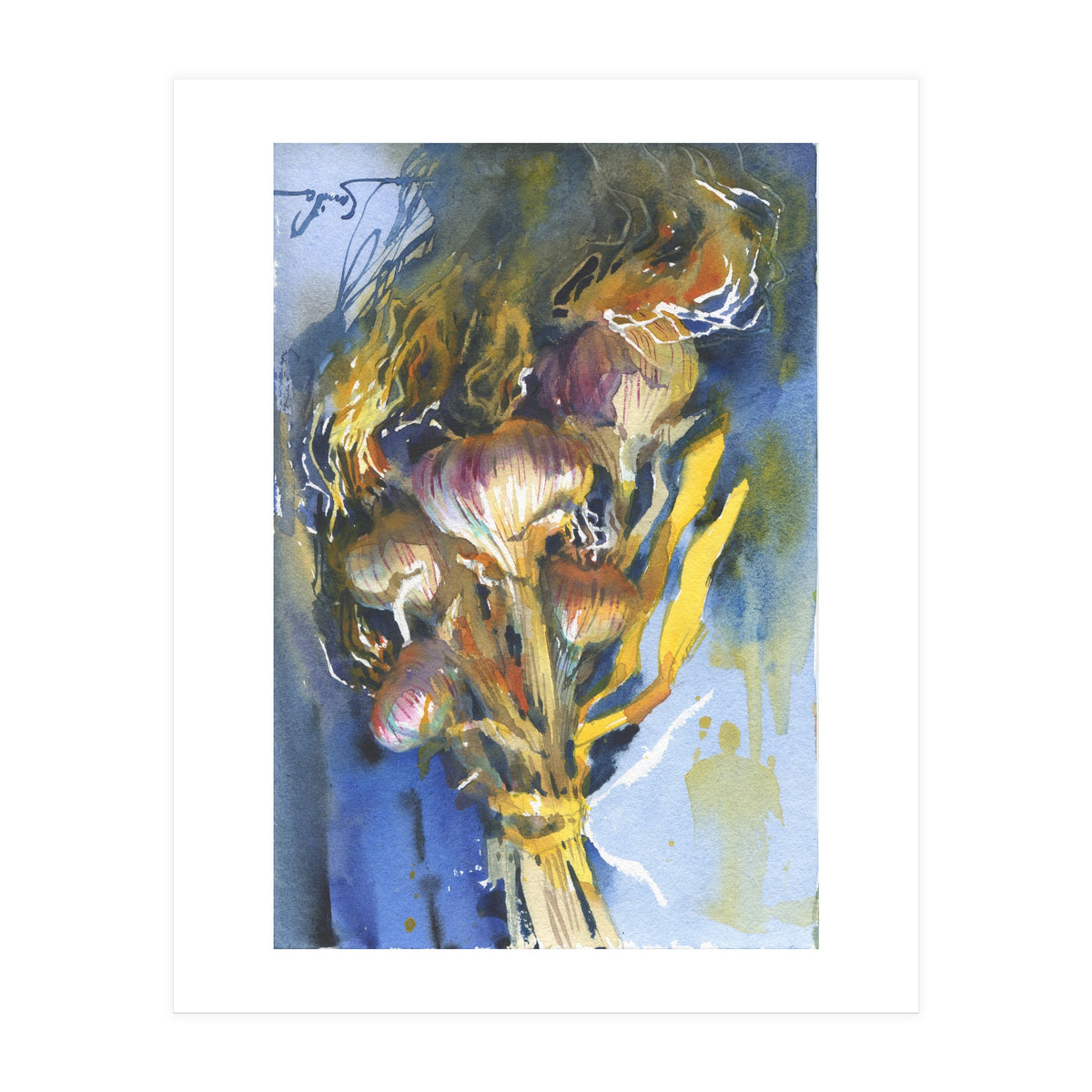 Sunny still life Garlic (Print Only)