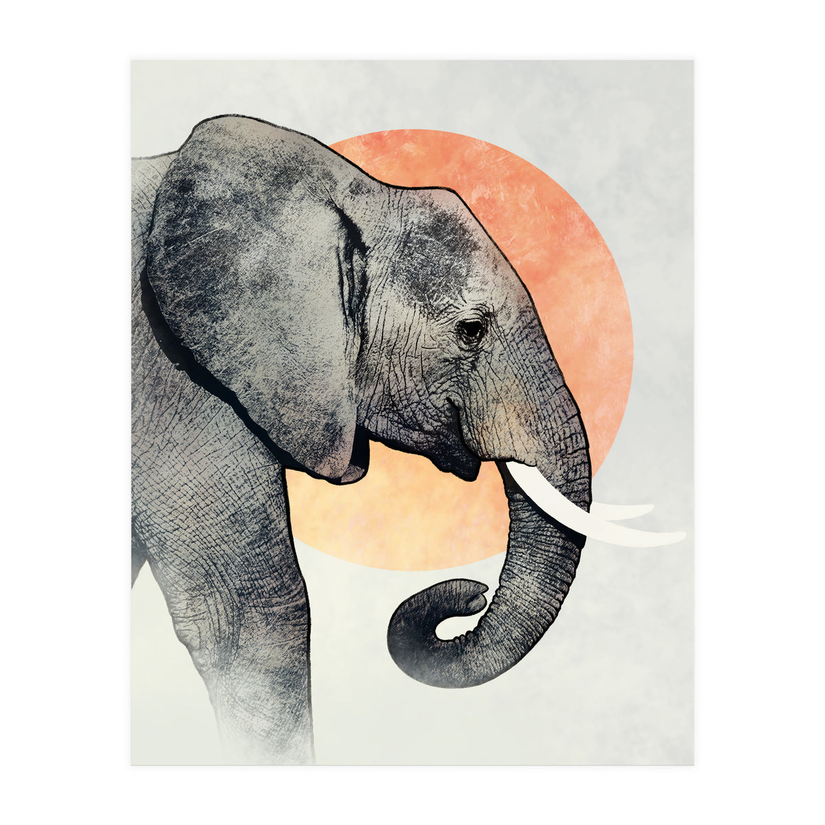 Elephant (Print Only)
