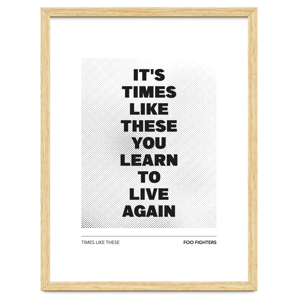 Foo Fighters - Times Like These