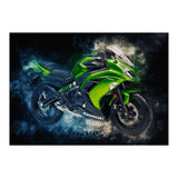 Kawasaki Ninja 2 (Print Only) thumbnail