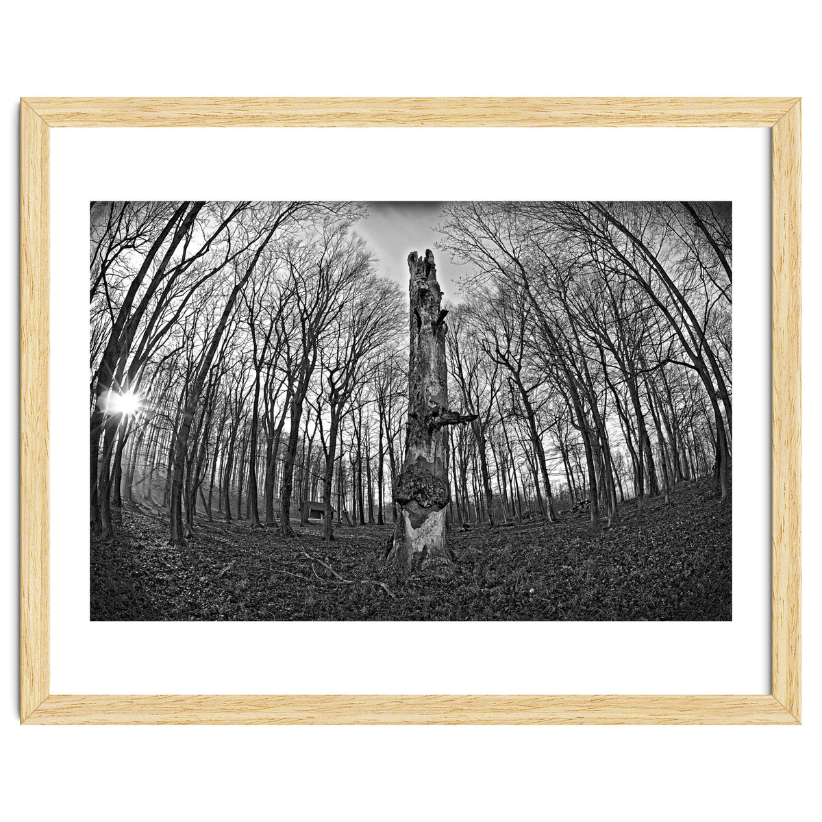 Circle of Growth and decay