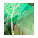P22 B Trees And Triangles (Print Only) thumbnail