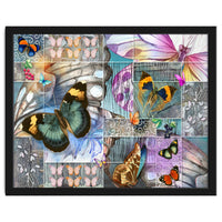 Butterfly Wings Collage