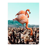 Flamingos In The Desert (Print Only) thumbnail