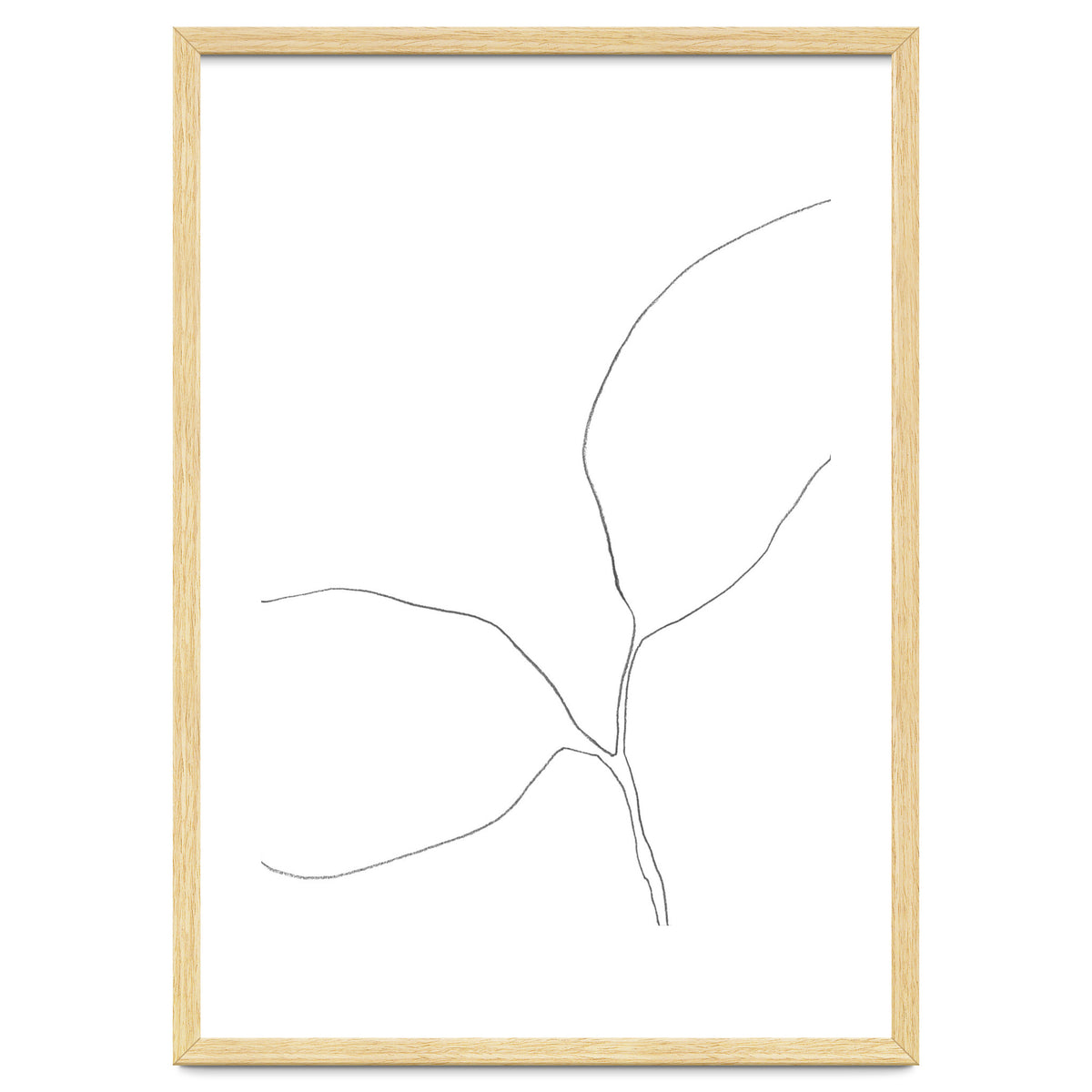 Seedling Leaning Left