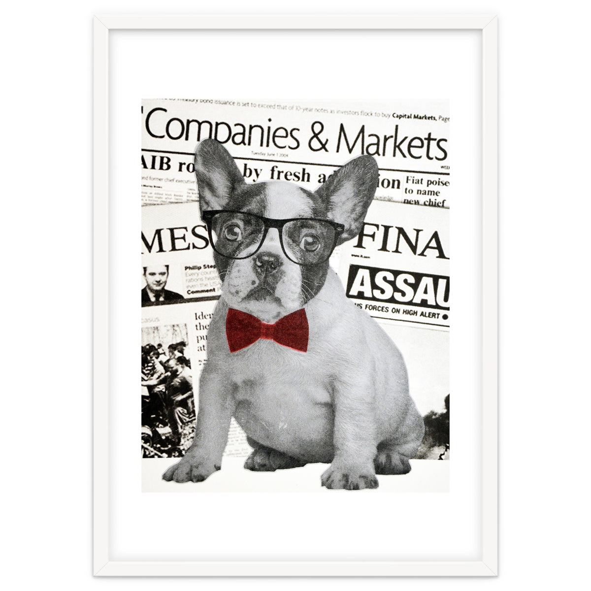 The Dog Of Wall Street