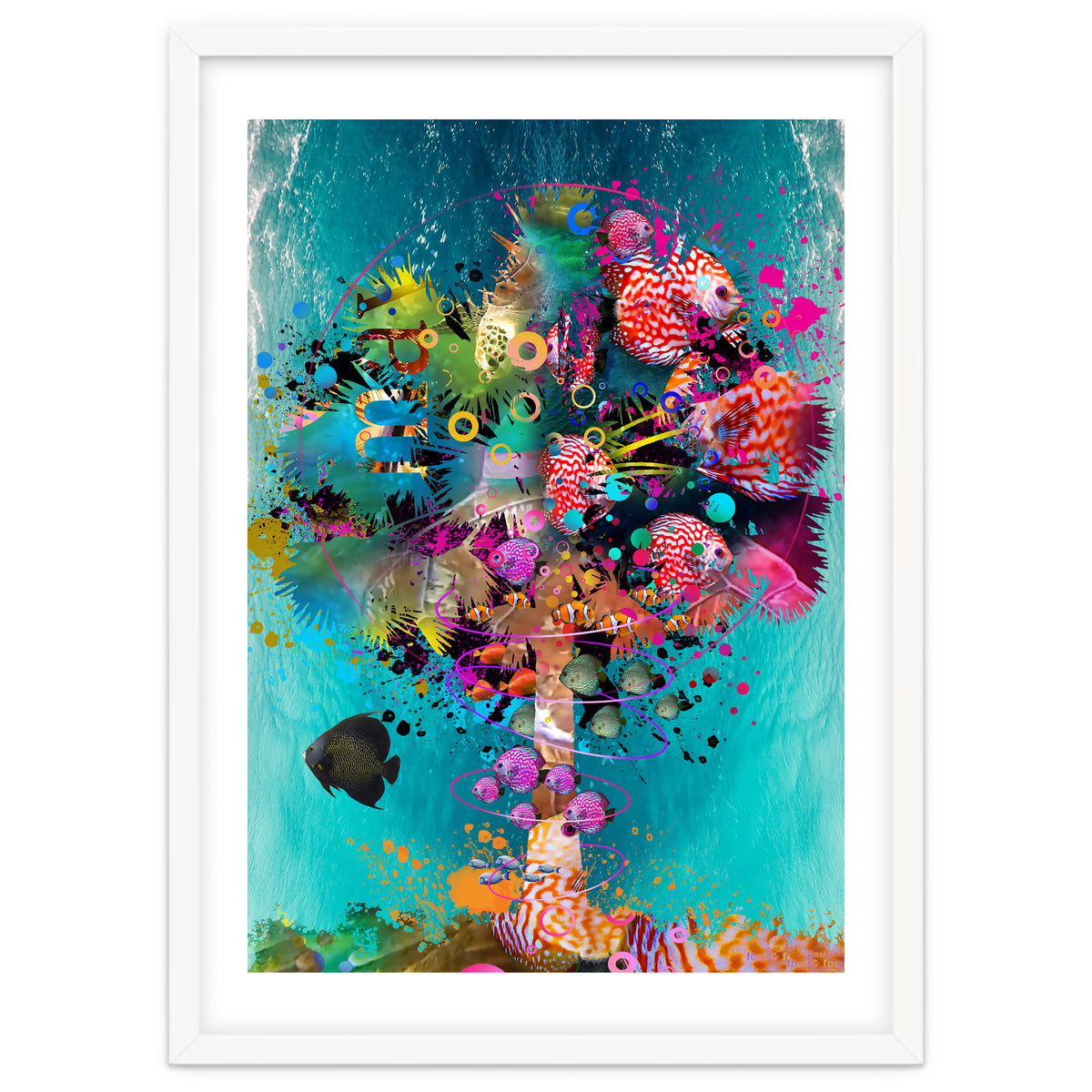 Surf Palm 02 Halfed Large2