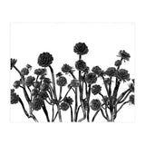 cactus succulents (Print Only) thumbnail