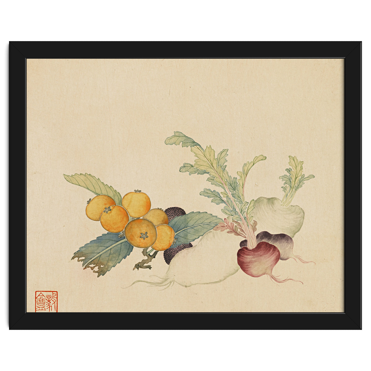 Wang Chengpi~flowers And Vegetables, Vegetables, Fruits, Loquat, White Radish, Carrot, Radish