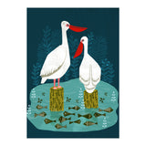Pelicans (Print Only) thumbnail