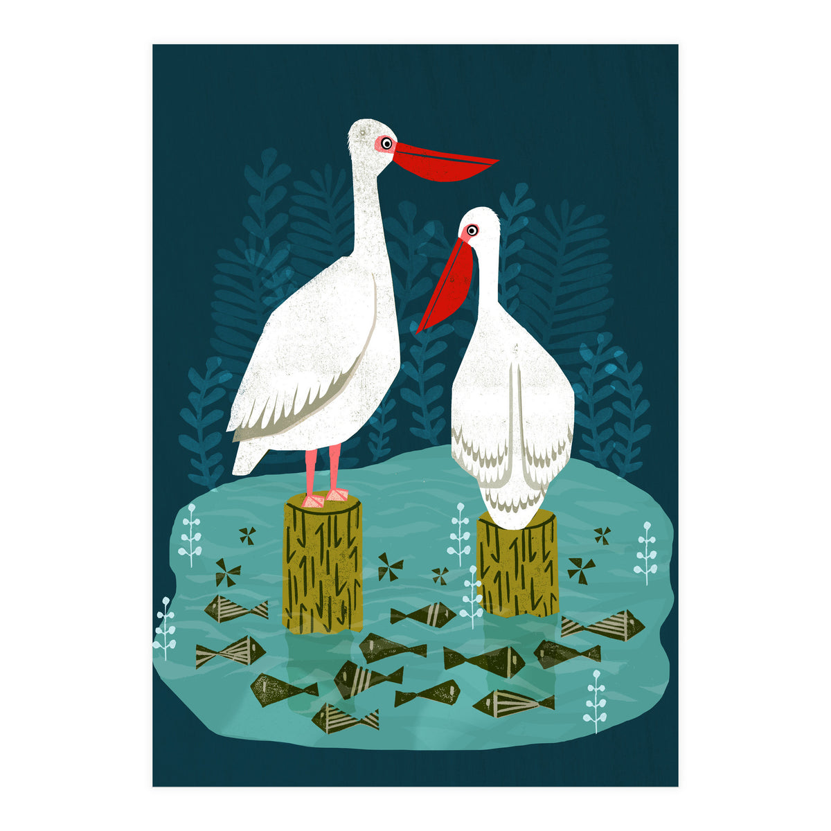 Pelicans (Print Only)