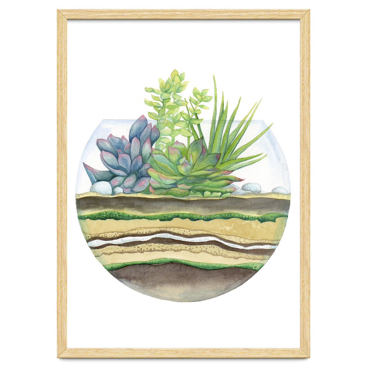 A Little Green Terrarium