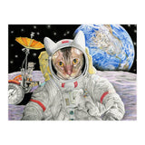 Nasacatadjustcolor (Print Only) thumbnail