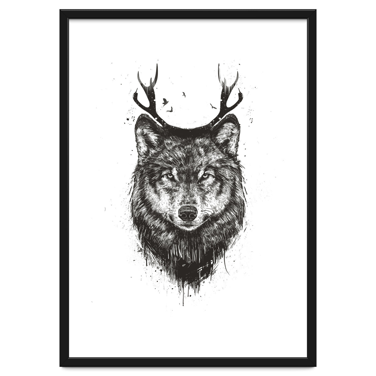 Deer Wolf Bw