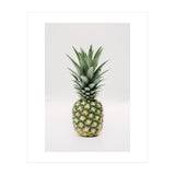 Pineapple (Print Only) thumbnail