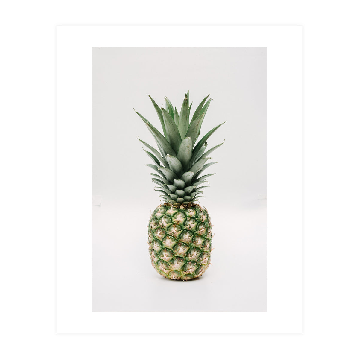 Pineapple (Print Only)