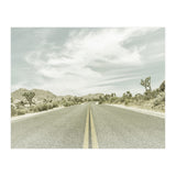 Joshua Trees, Park Boulevard | Vintage (Print Only) thumbnail