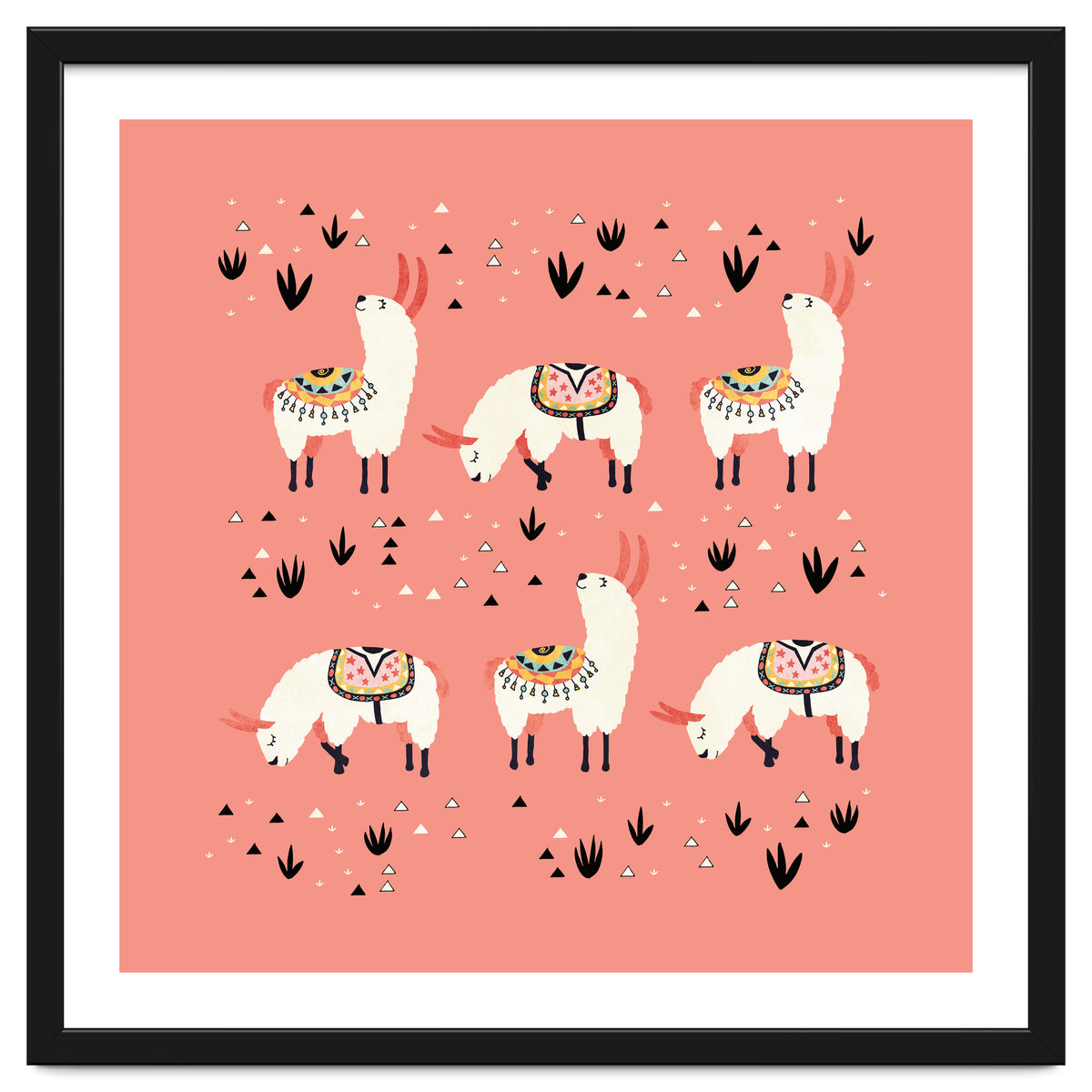White Llamas In Pink Desert