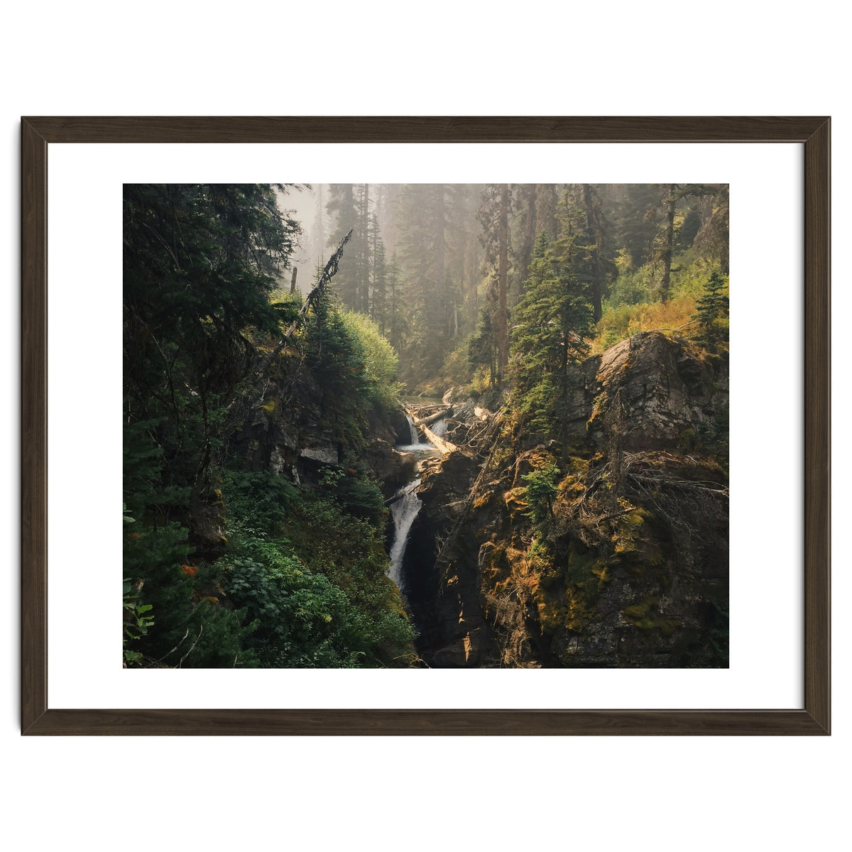 Glacier National Park I