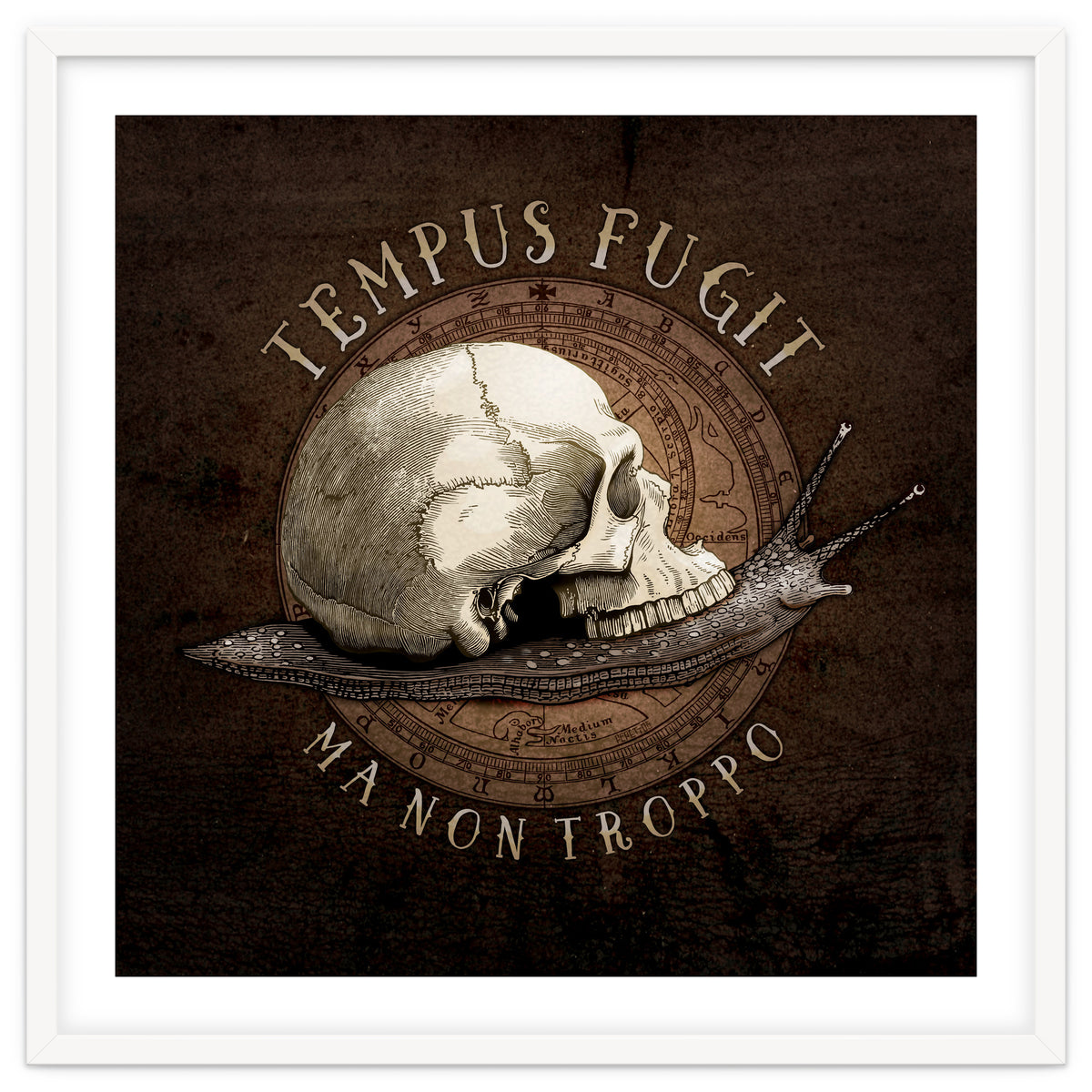 Tempus Fugit (ma non troppo)