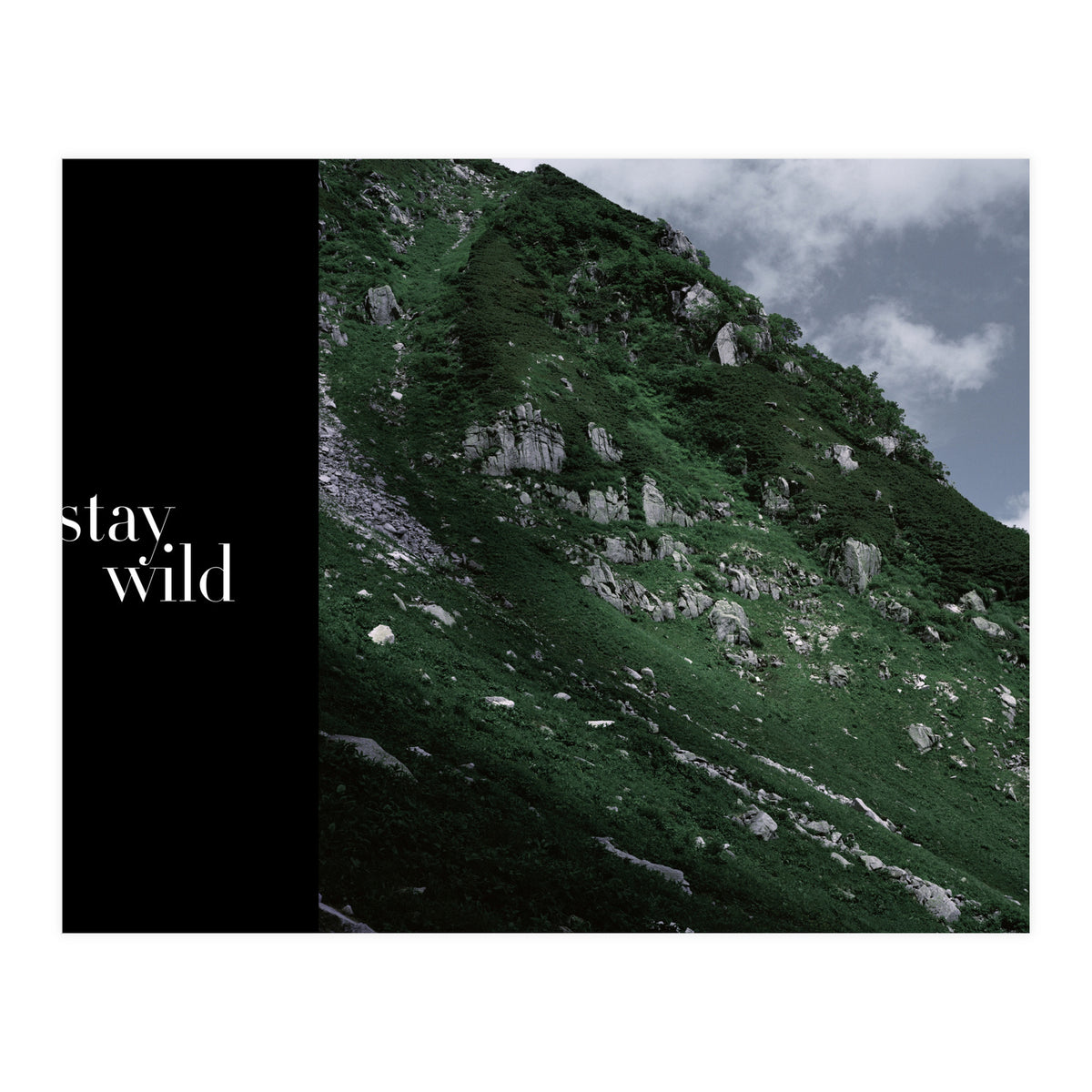 stay wild  (Print Only)