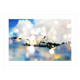 Mgic In The Snow (Print Only) thumbnail