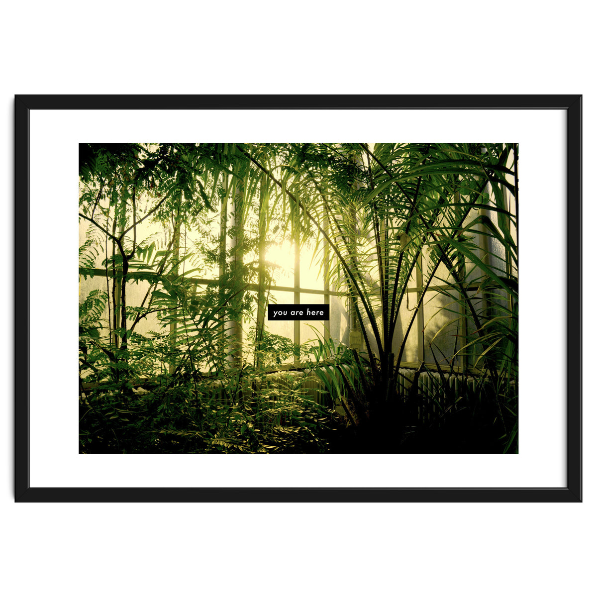 you are here - Nature Photography -