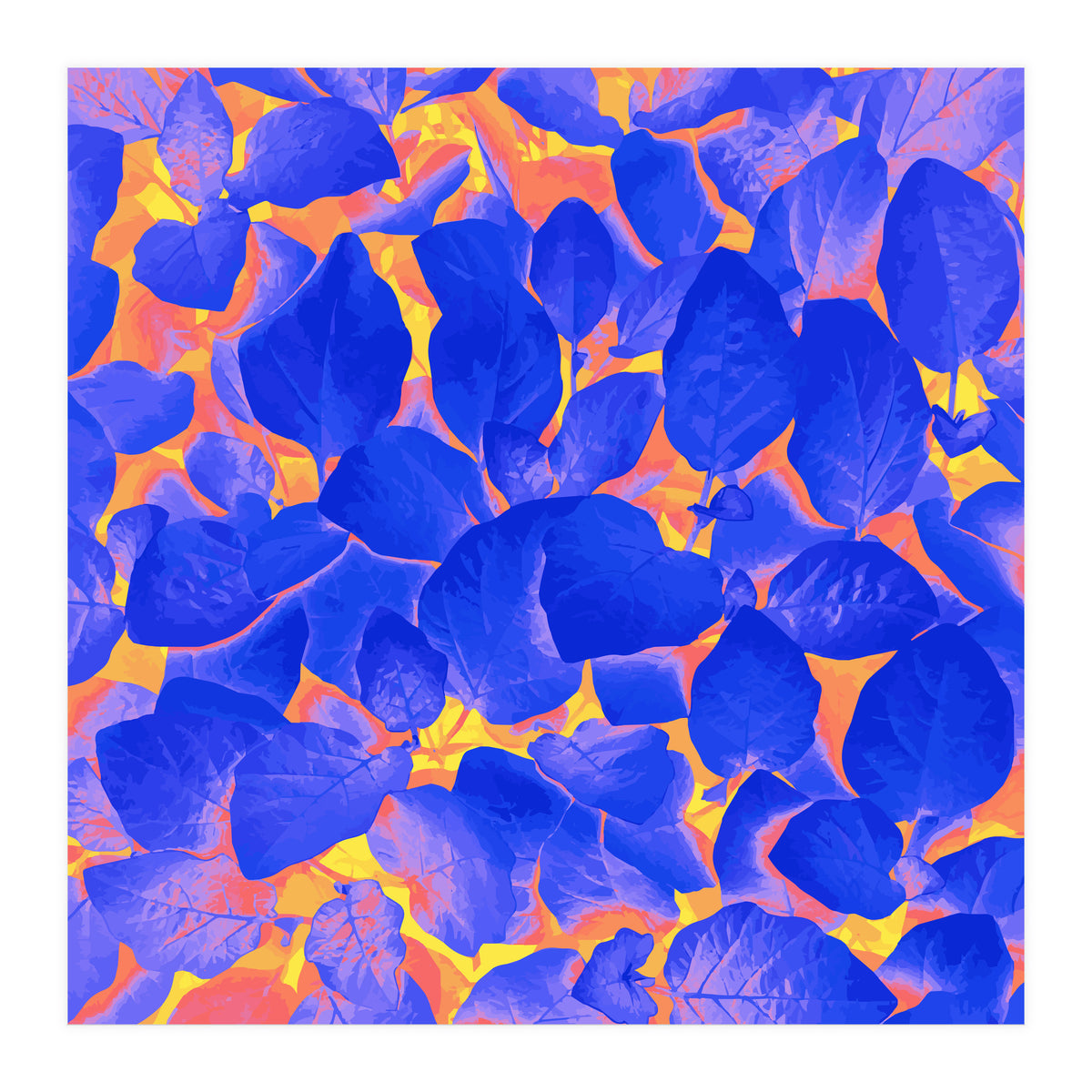 Supercontrast (Print Only)