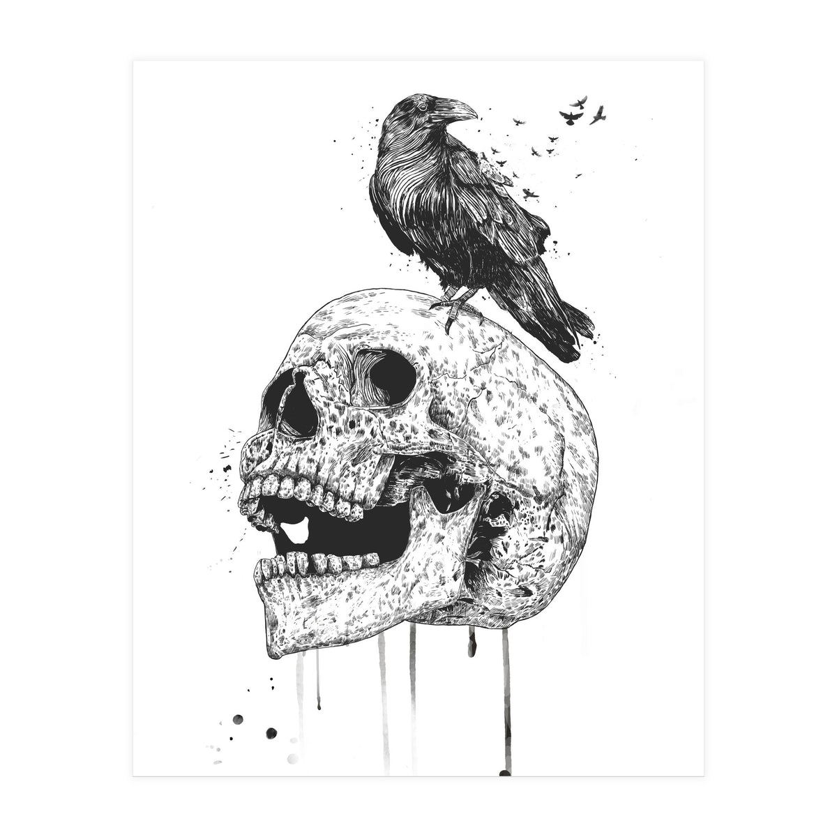 New Skull (bw) (Print Only)