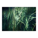 green green grass (Print Only) thumbnail
