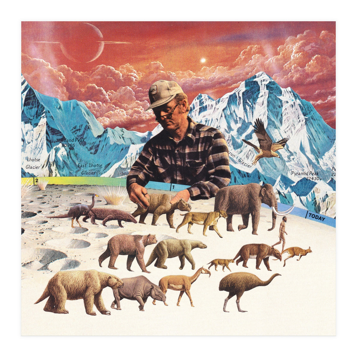 Evolution (Print Only)