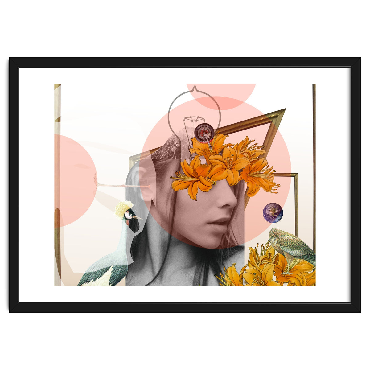 Dreamland Division · D