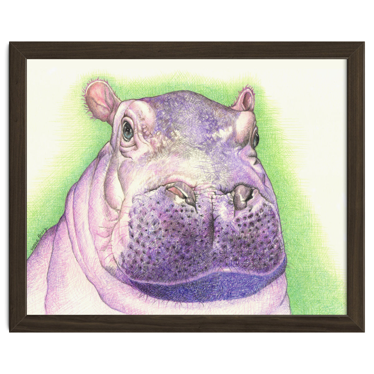Purple Hippo