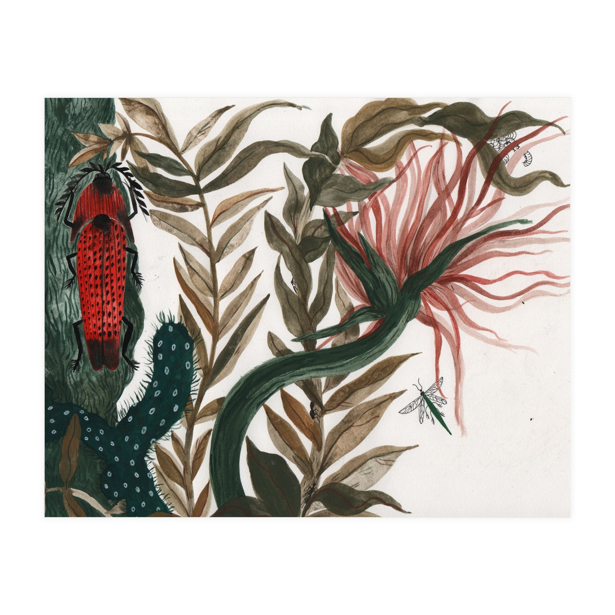 Insects (Print Only)