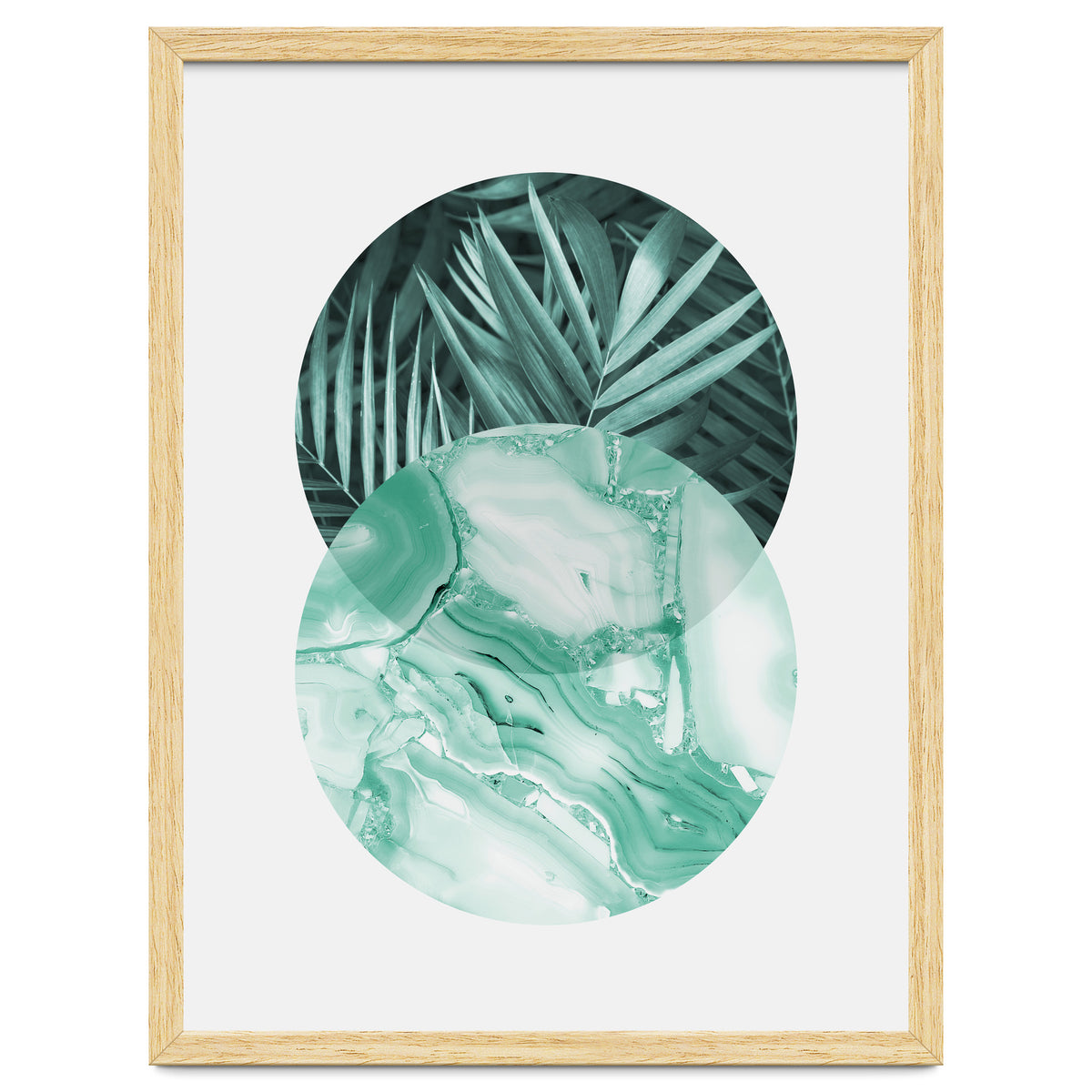 Botanical and geometric IV