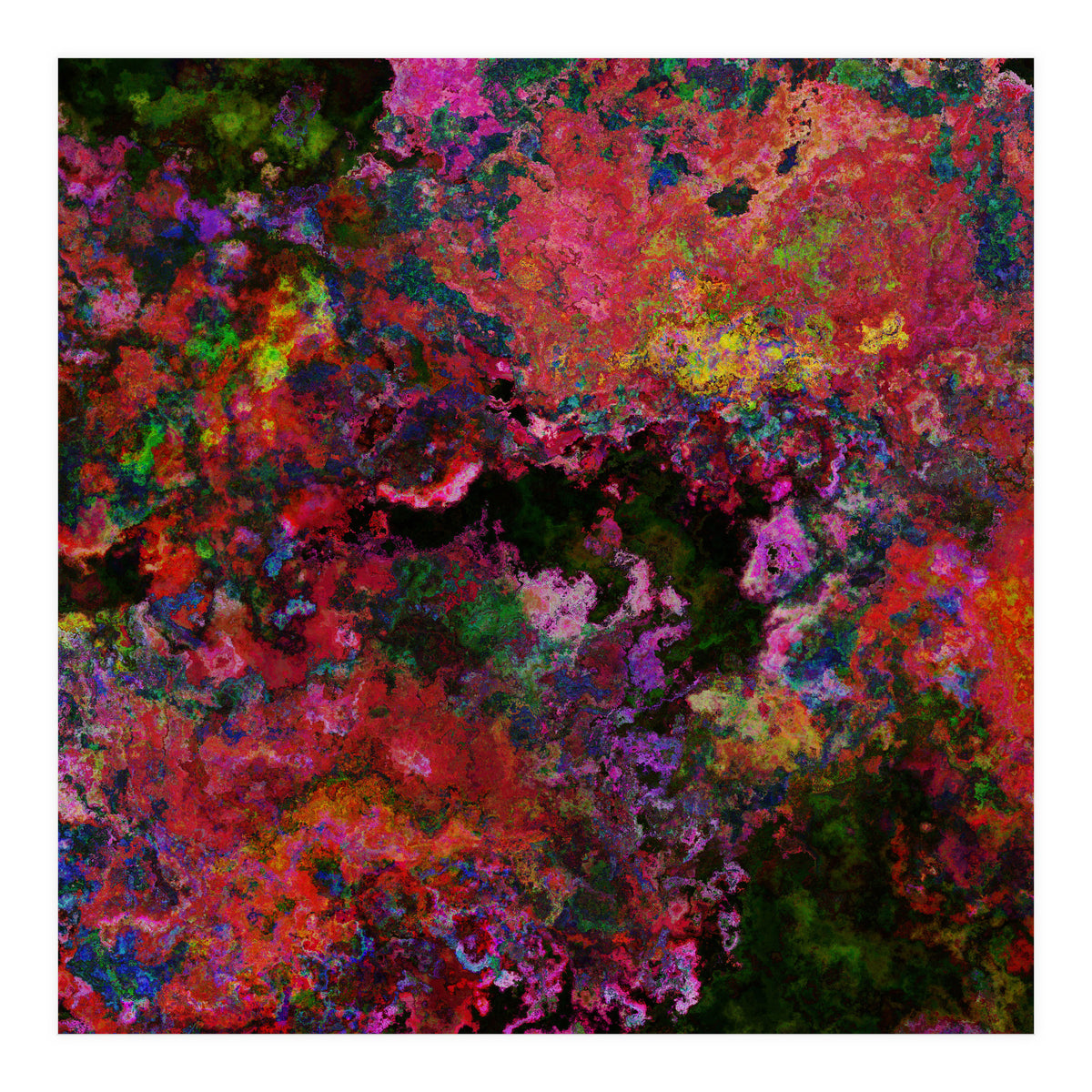 Blooms  (Print Only)