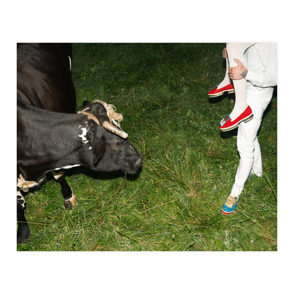 Moooooooooooo Means No! (Print Only)