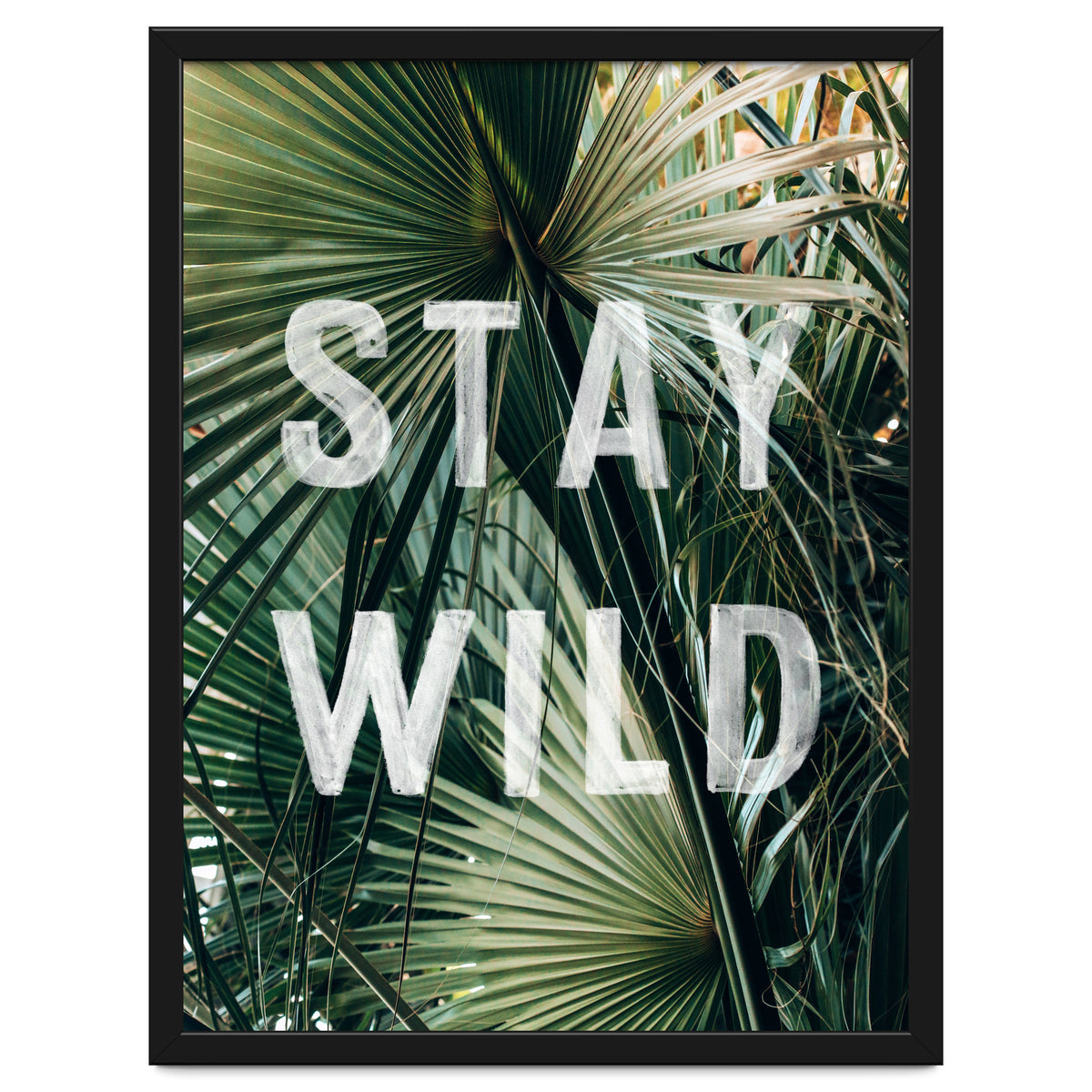 Stay Wild