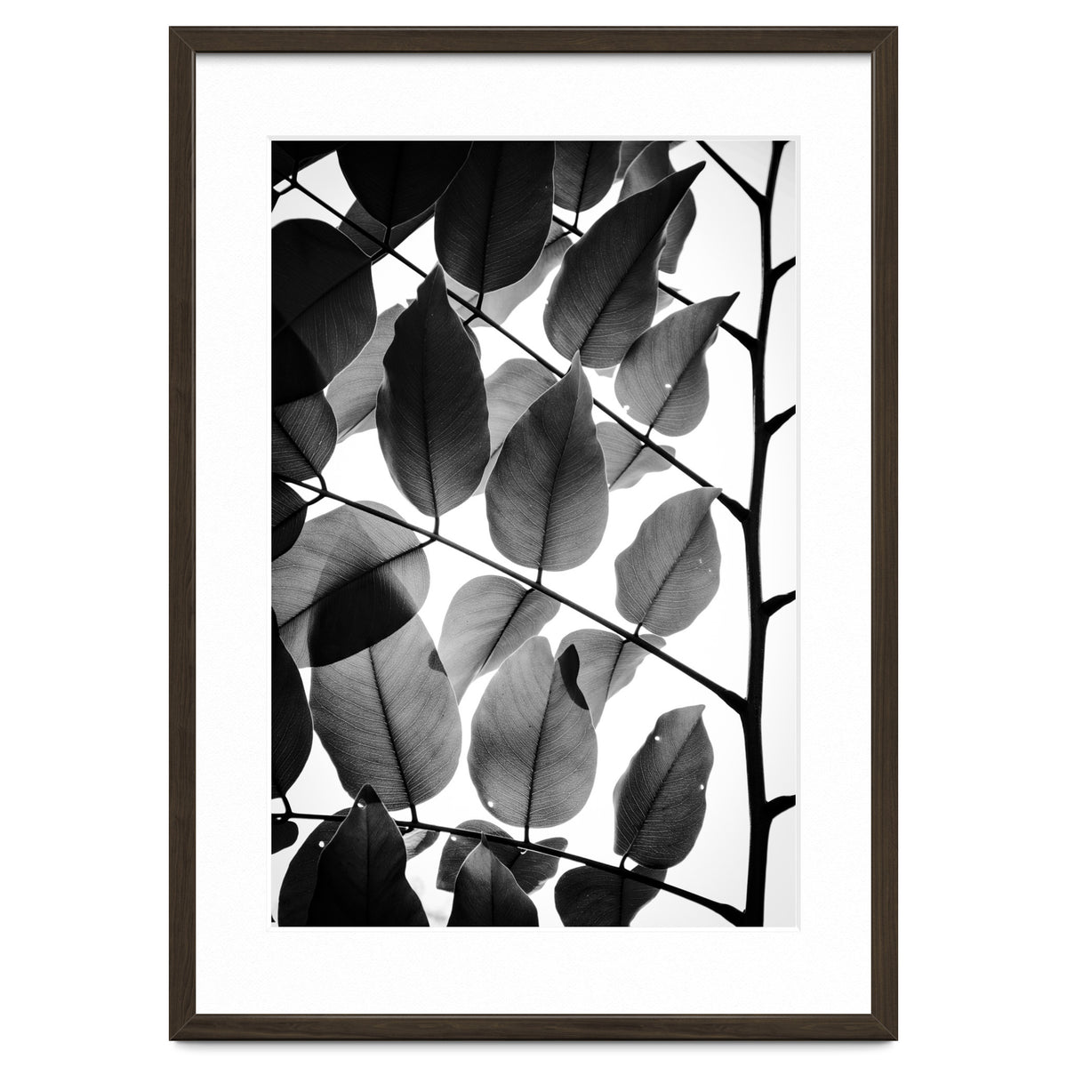 Branches and Leaves II