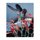 Bird Trainer (Print Only) thumbnail