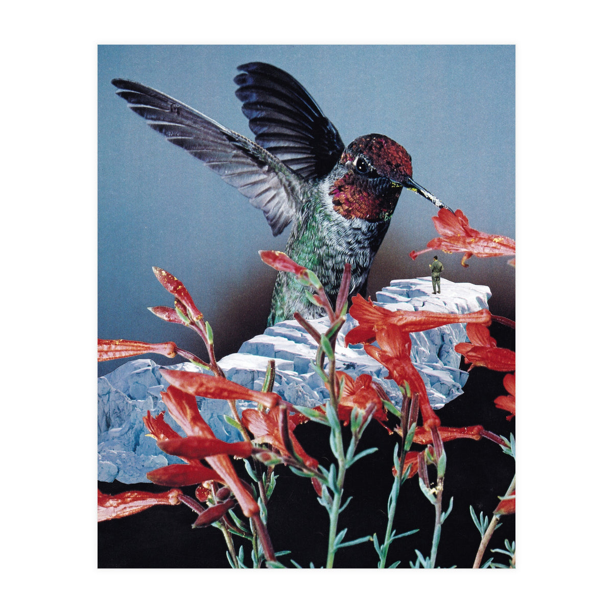 Bird Trainer (Print Only)