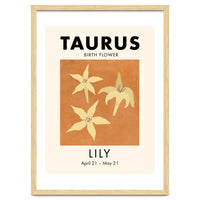Taurus Birth Flower Lily