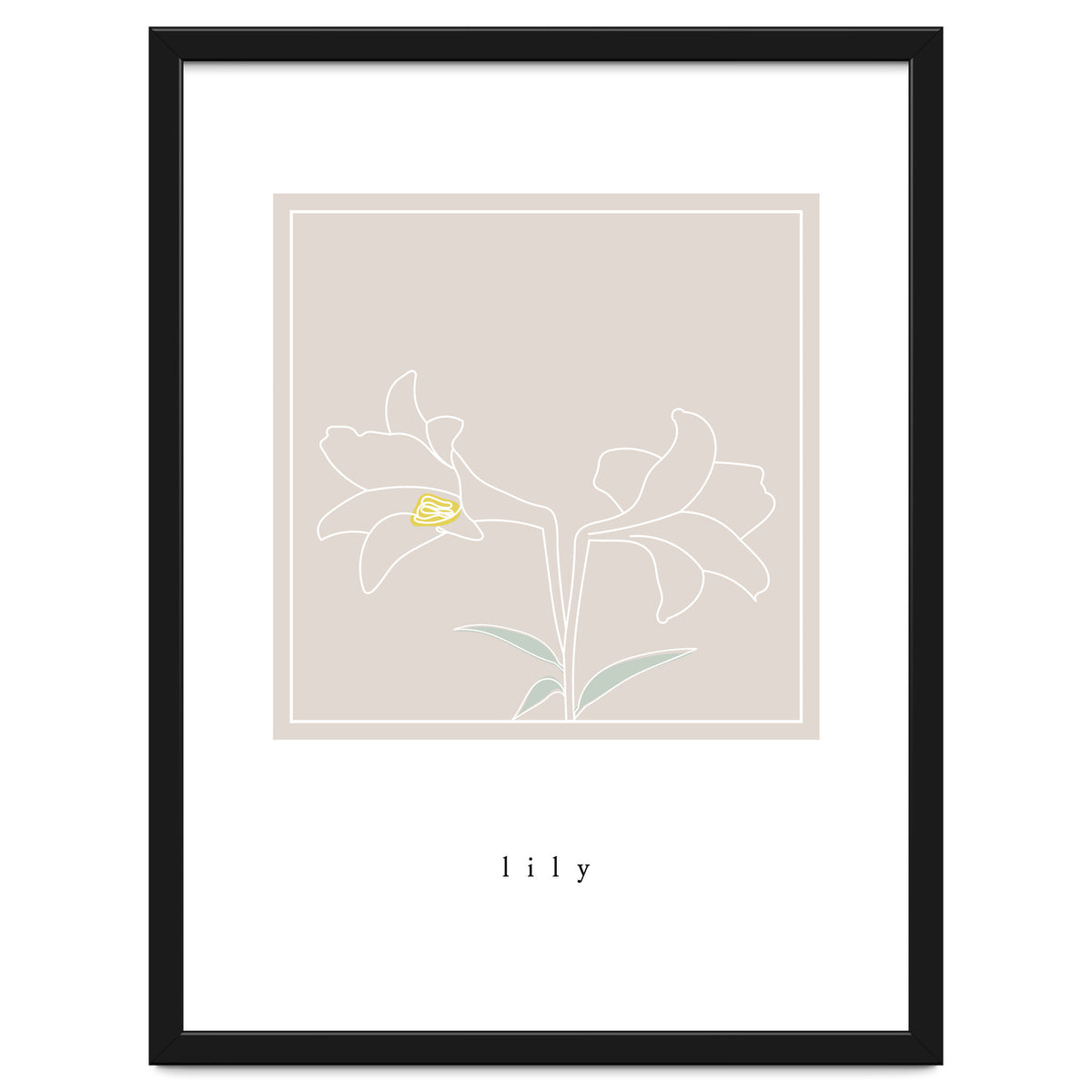 lily flower